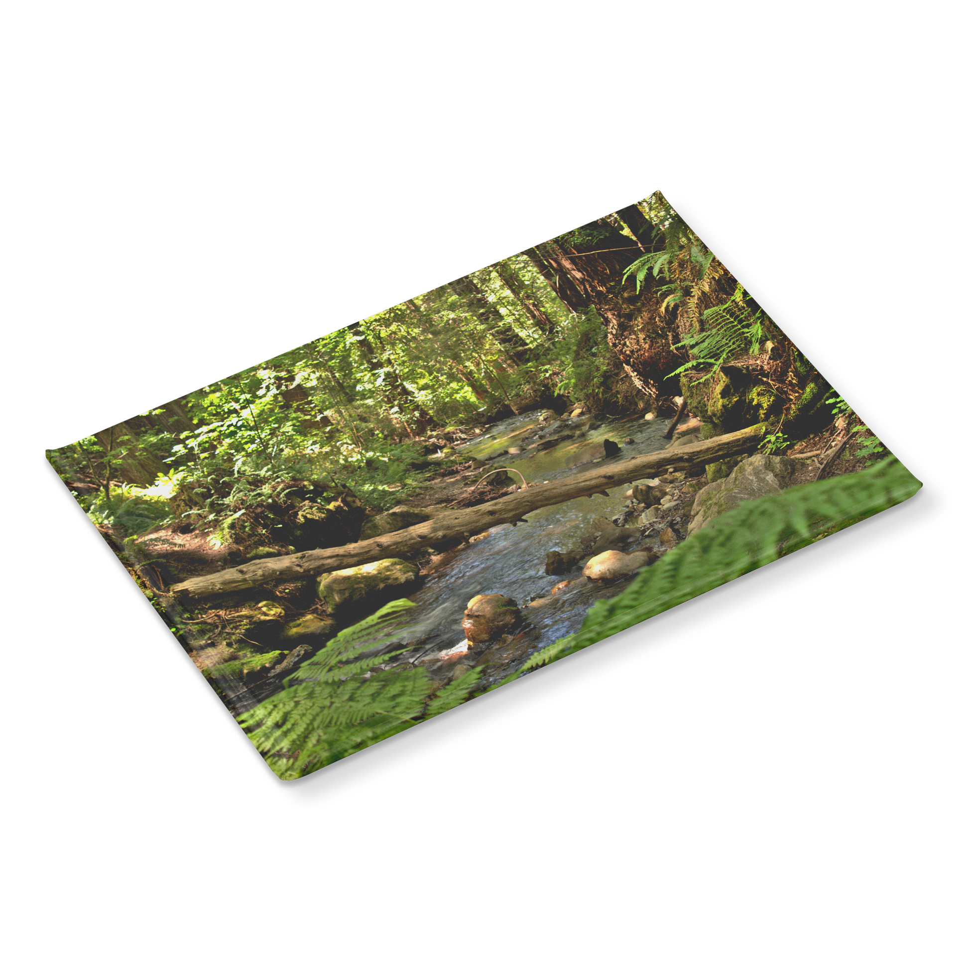 Serene_Creek_in_Redwood_Forest_Rectangu_RectangleButtonMagnet_H_Angle_Mockup.png