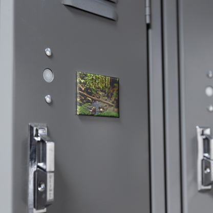 Serene_Creek_in_Redwood_Forest_Rectangu_RectangleButtonMagnet_H_Locker_Mockup.png