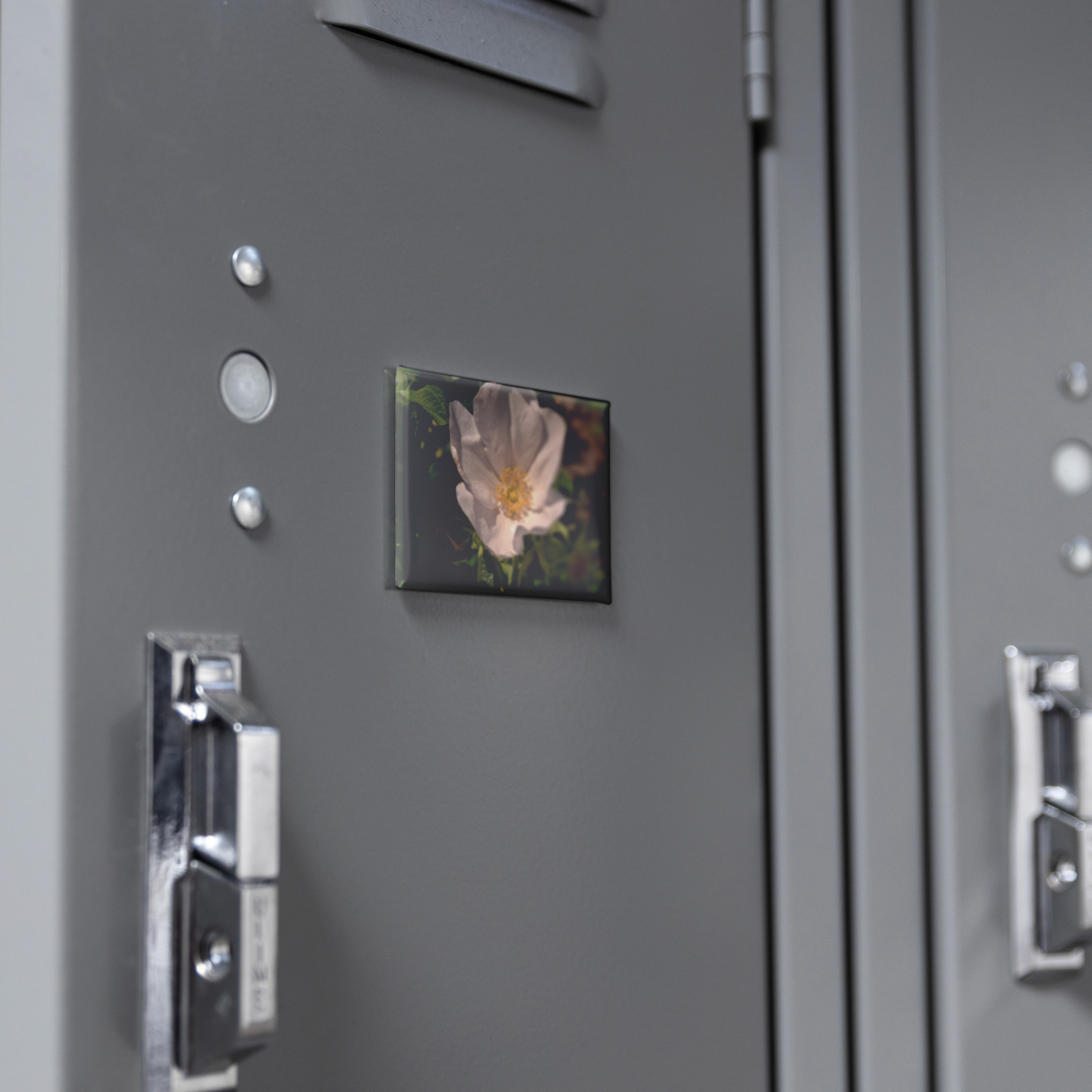 Single_White_Rose_Bloom_with_Delicate_Pe_RectangleButtonMagnet_H_Locker_Mockup.png
