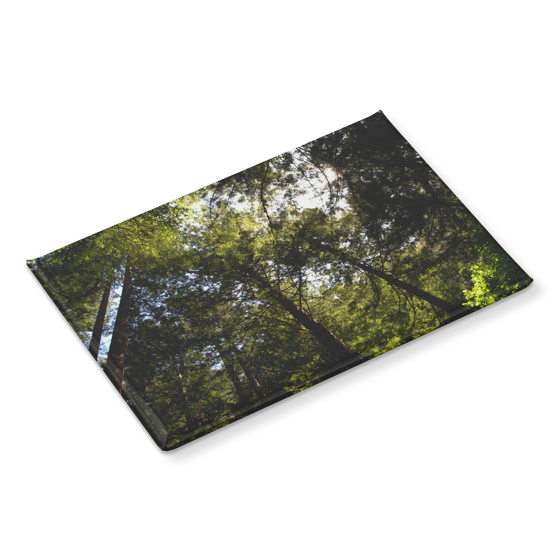 Skyward_Glance_in_a_Majestic_Redwood_Gro_RectangleButtonMagnet_H_Angle_Mockup.png