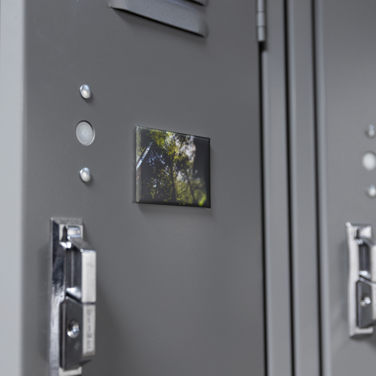 Skyward_Glance_in_a_Majestic_Redwood_Gro_RectangleButtonMagnet_H_Locker_Mockup.png