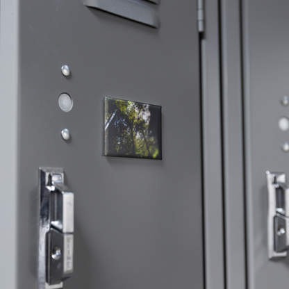 Skyward_Glance_in_a_Majestic_Redwood_Gro_RectangleButtonMagnet_H_Locker_Mockup.png