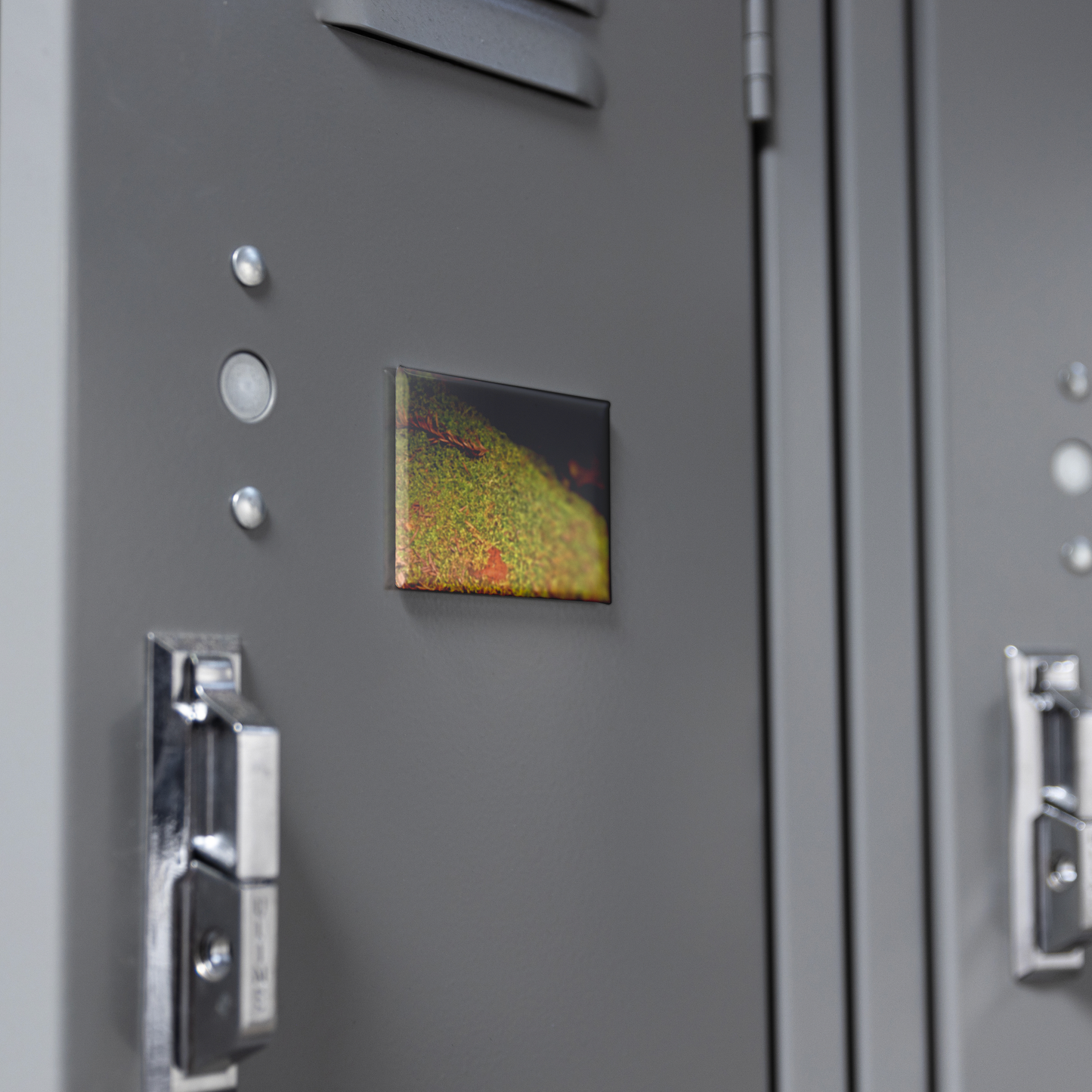 Soft_Blanket_of_Moss_on_Fallen_Tree_Rec_RectangleButtonMagnet_H_Locker_Mockup.png
