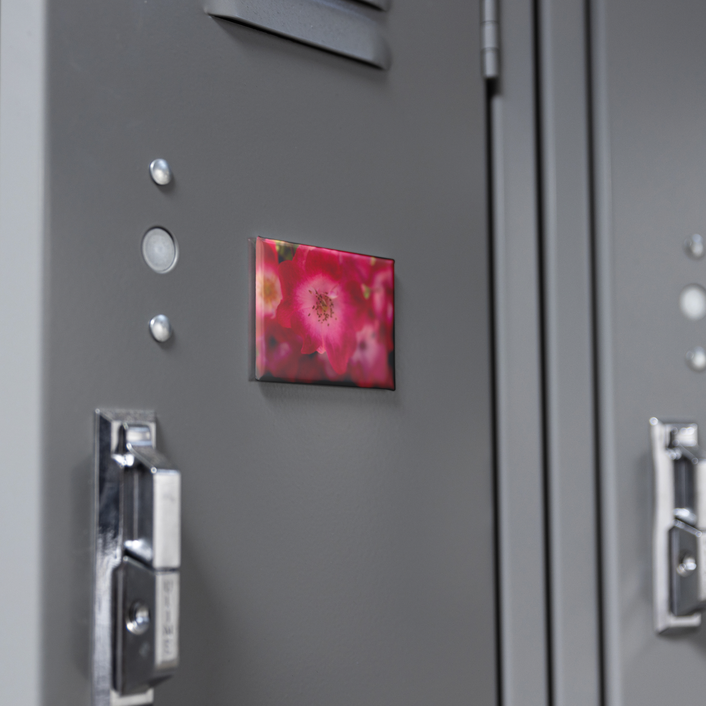 Softly_Lit_Pink_Roses_with_Light_Centers_RectangleButtonMagnet_H_Locker_Mockup.png