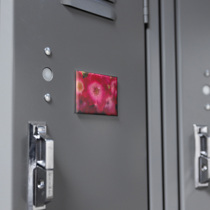 Softly_Lit_Pink_Roses_with_Light_Centers_RectangleButtonMagnet_H_Locker_Mockup.png