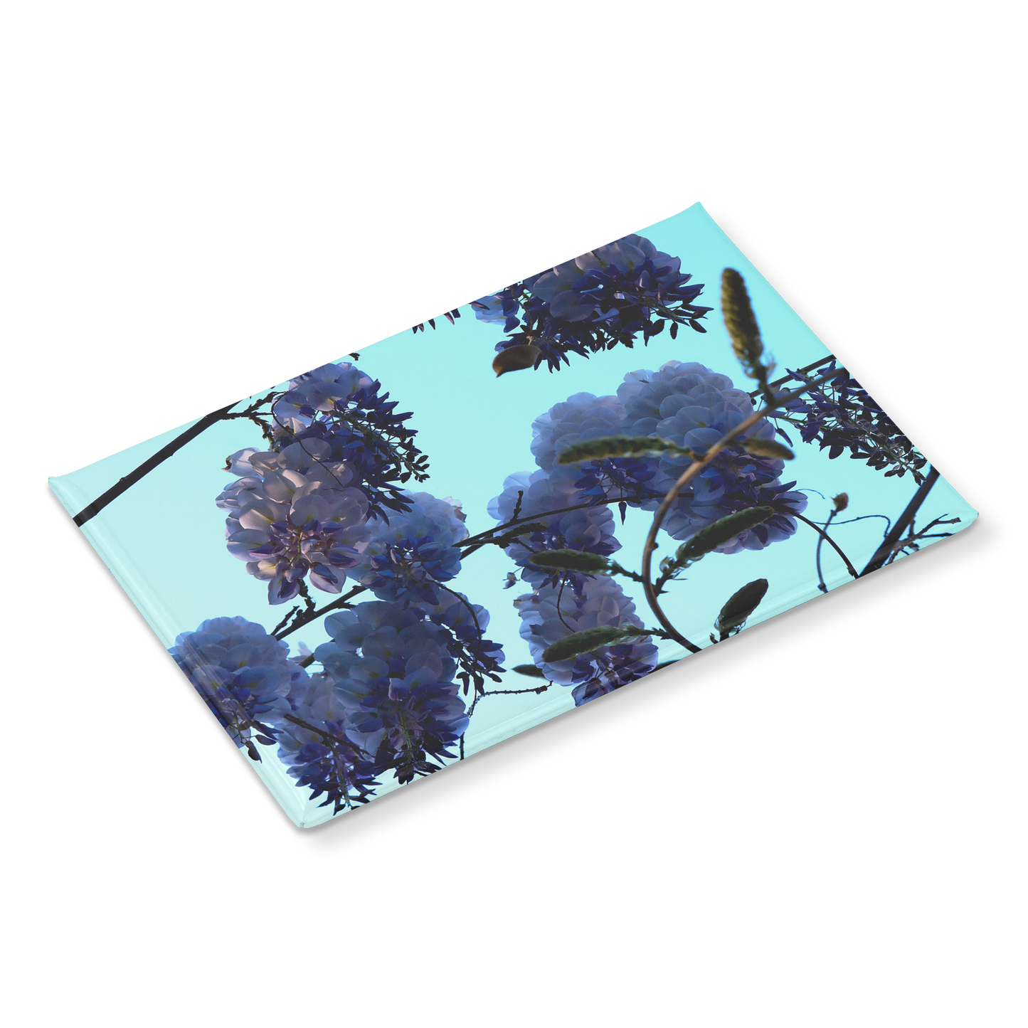 Spring_Wisteria_Blossoms_Against_Clear_B_RectangleButtonMagnet_H_Angle_Mockup.png
