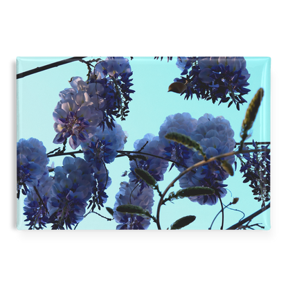 Spring_Wisteria_Blossoms_Against_Clear_B_RectangleButtonMagnet_H_Main_AS_Mockup.png