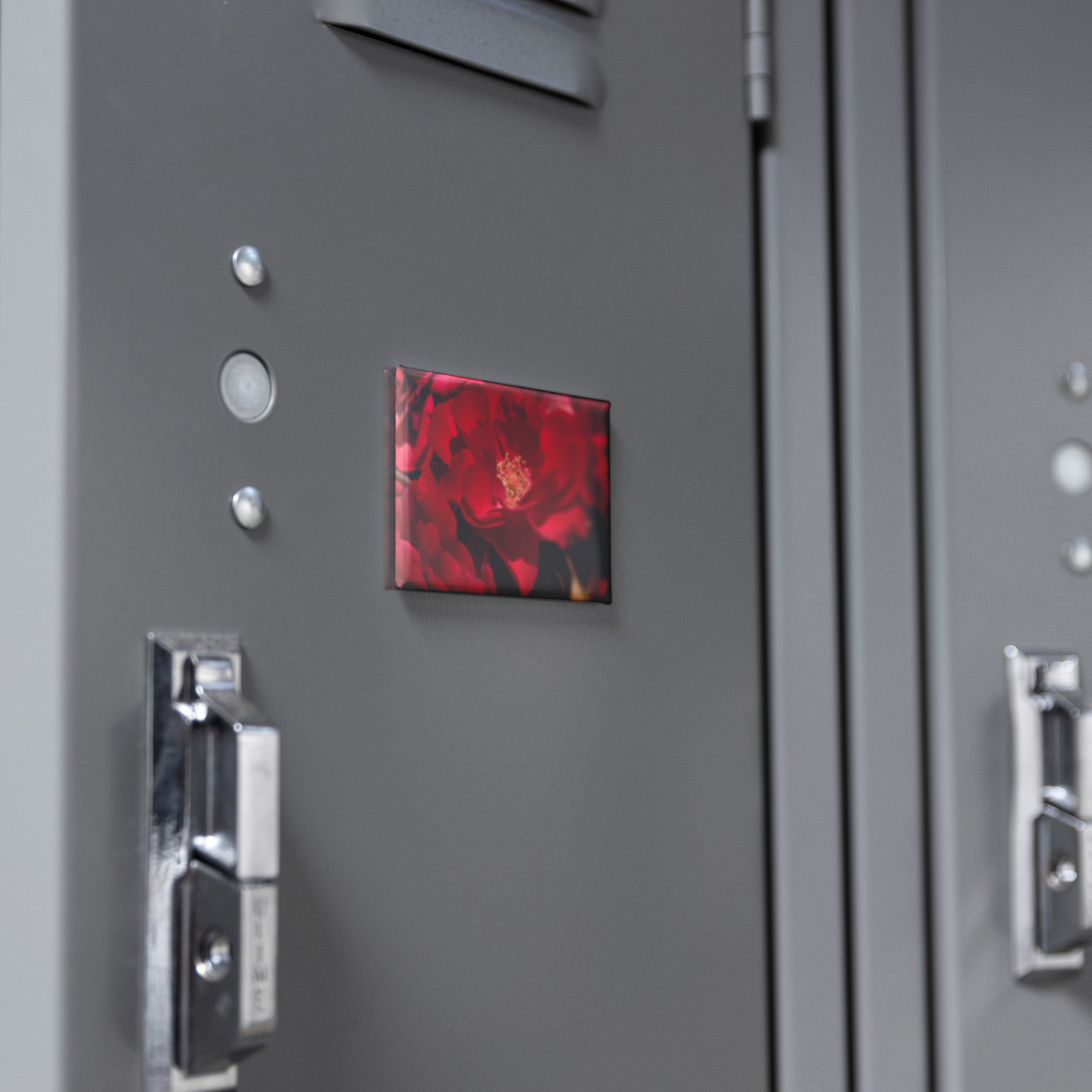 Striking_Scarlet_Rose_with_Velvety_Petal_RectangleButtonMagnet_H_Locker_Mockup.png