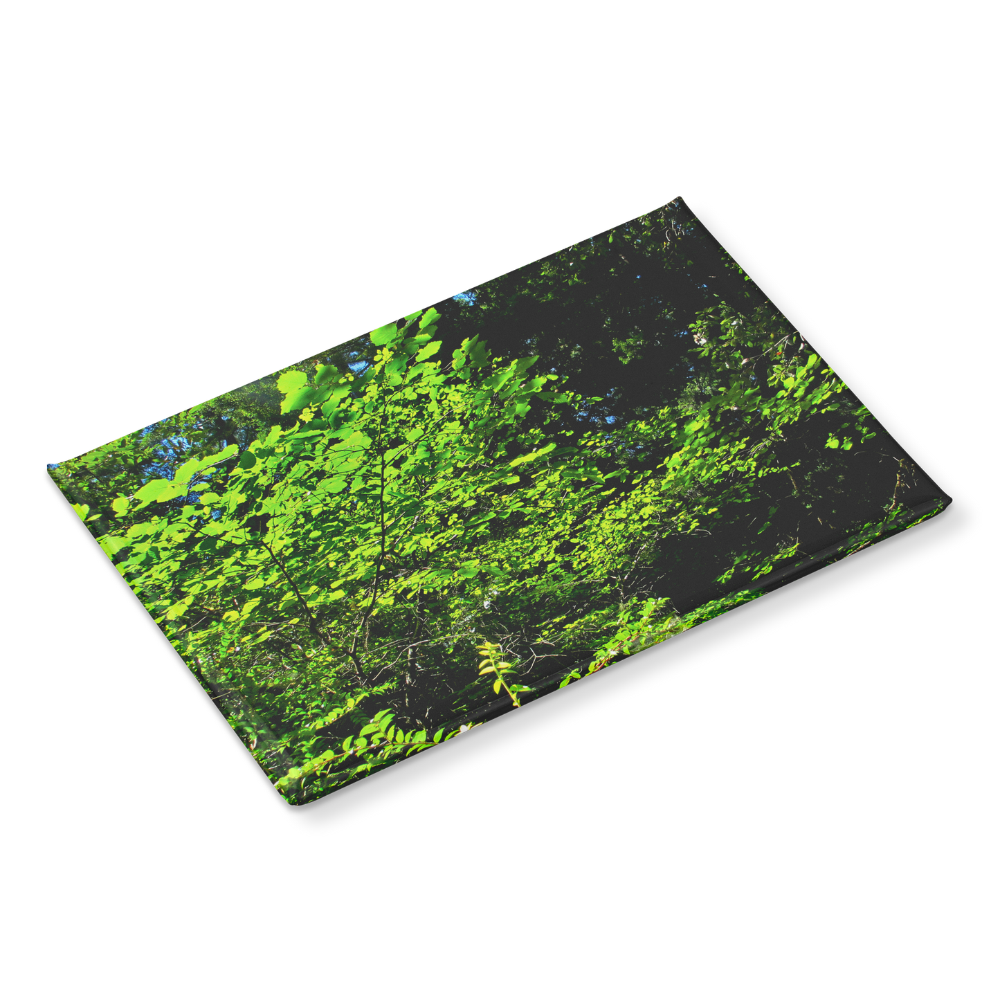 Sunlight_Streaming_through_Tree_Leaves__RectangleButtonMagnet_H_Angle_Mockup.png