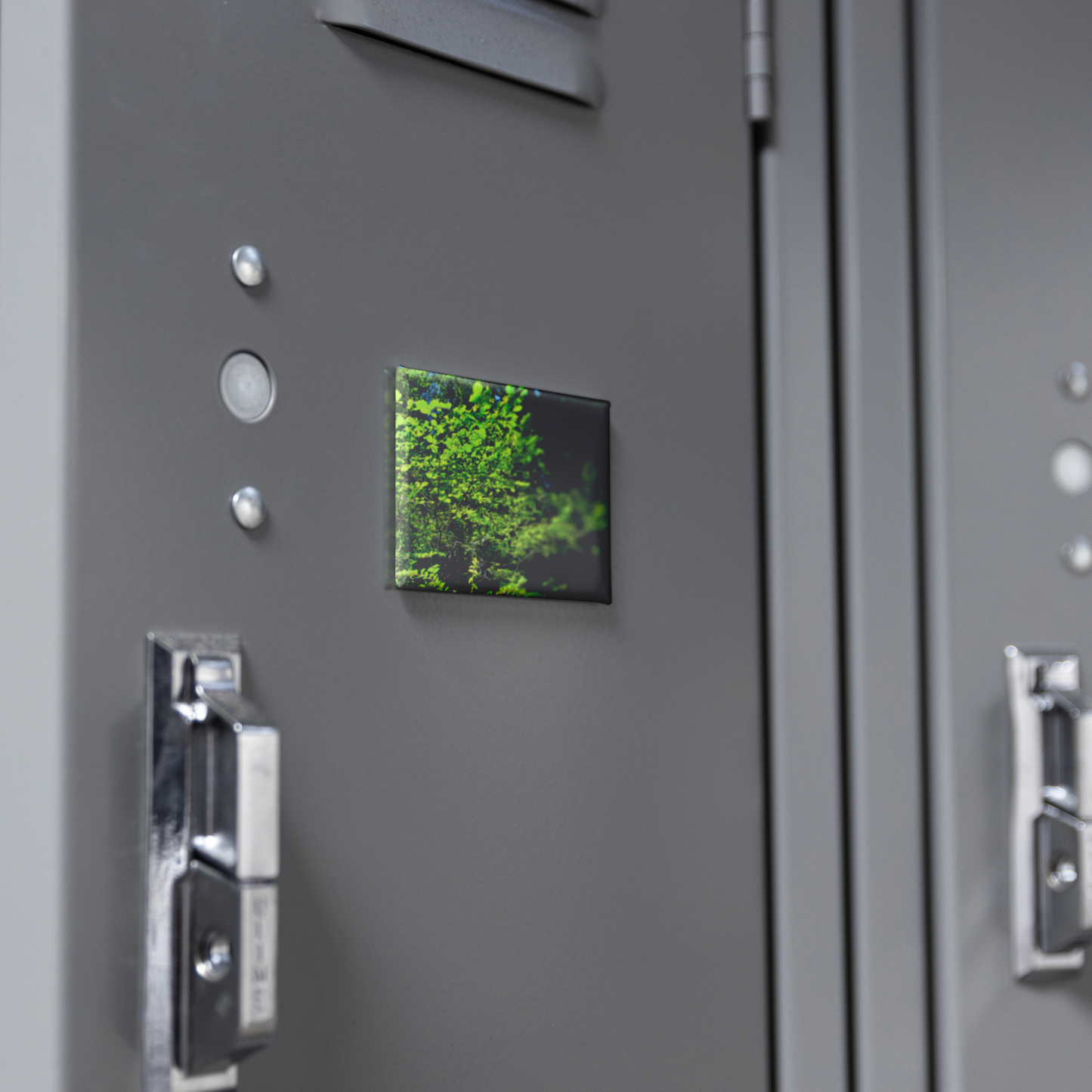 Sunlight_Streaming_through_Tree_Leaves__RectangleButtonMagnet_H_Locker_Mockup.png