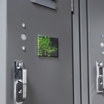 Sunlight_Streaming_through_Tree_Leaves__RectangleButtonMagnet_H_Locker_Mockup.png