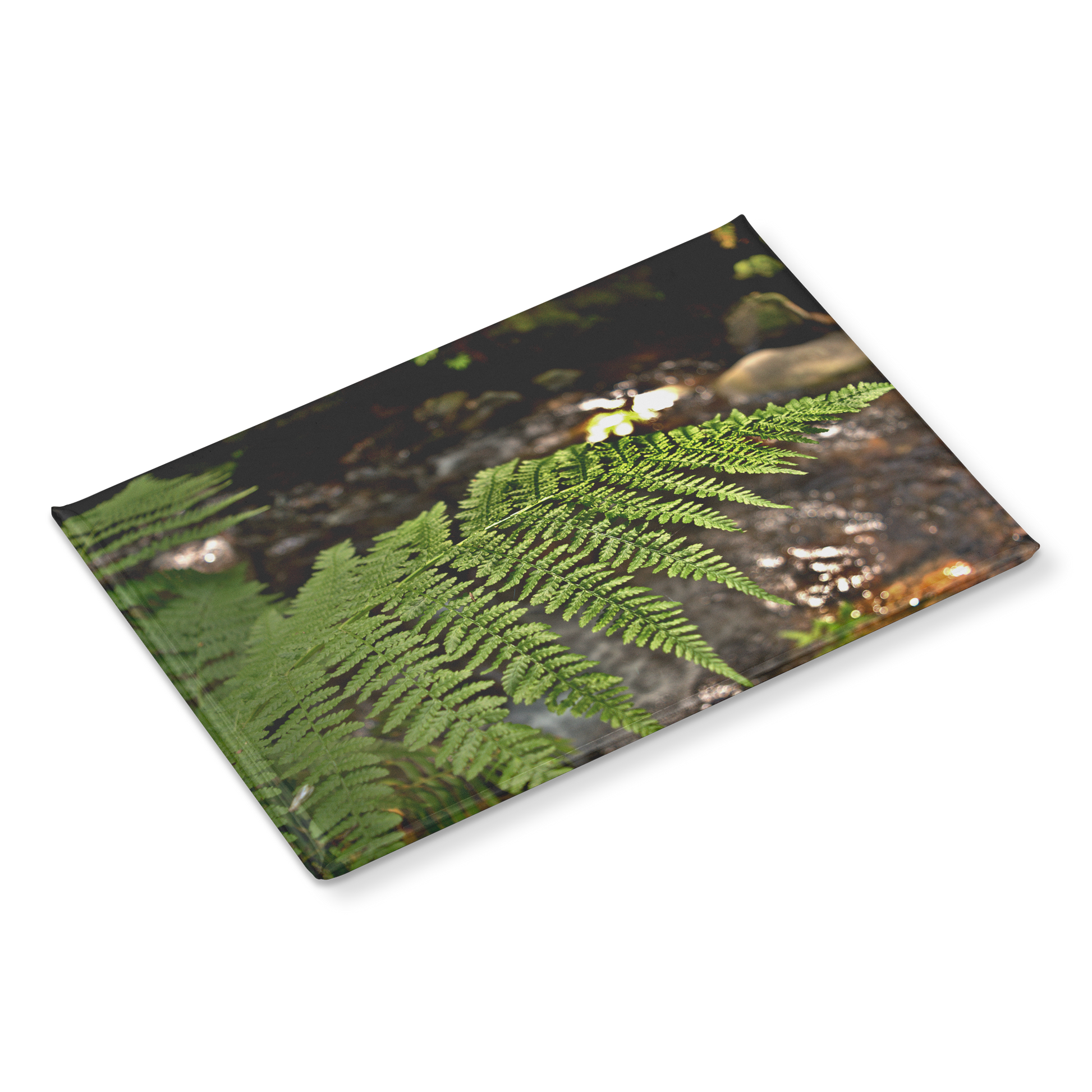Sunlit_Fern_with_Glimmering_Creek_Backdr_RectangleButtonMagnet_H_Angle_Mockup.png