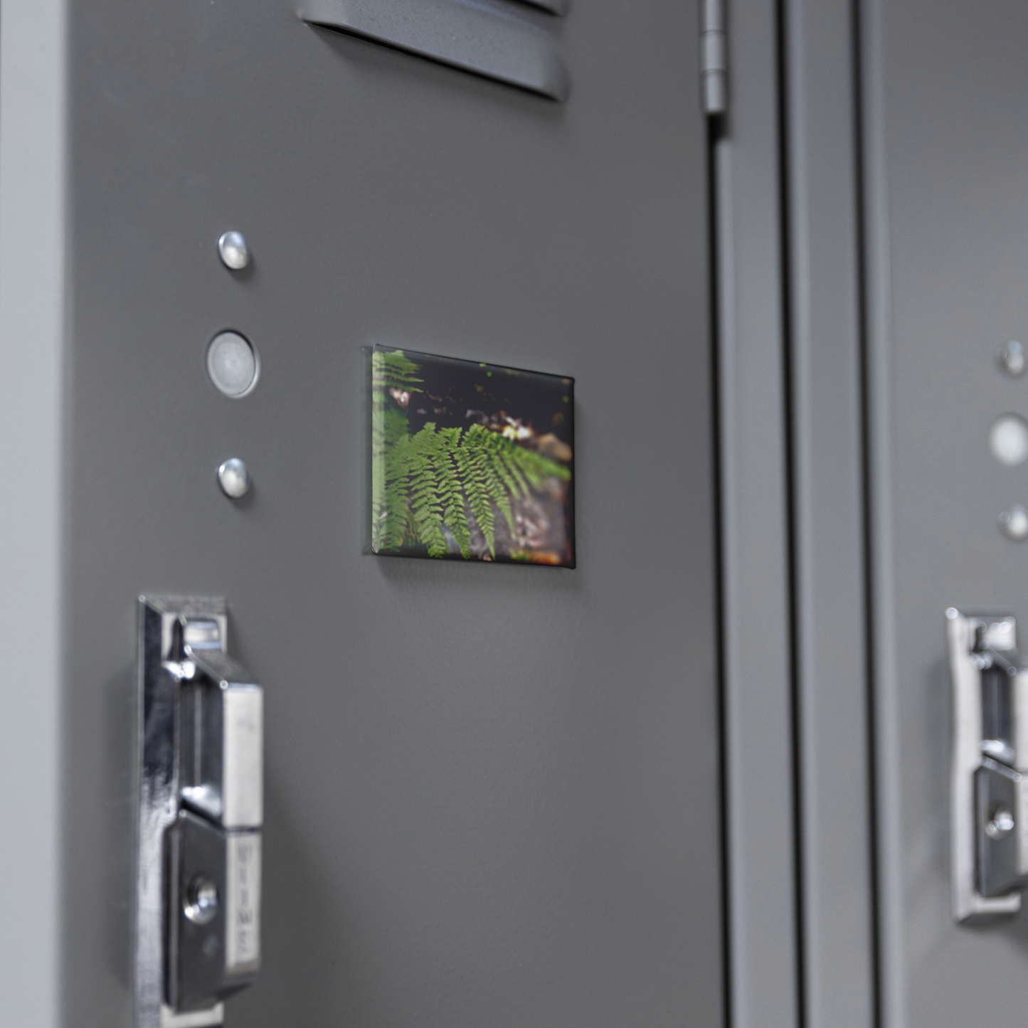 Sunlit_Fern_with_Glimmering_Creek_Backdr_RectangleButtonMagnet_H_Locker_Mockup.png