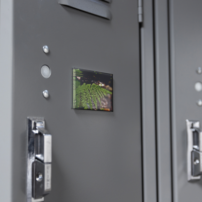 Sunlit_Fern_with_Glimmering_Creek_Backdr_RectangleButtonMagnet_H_Locker_Mockup.png