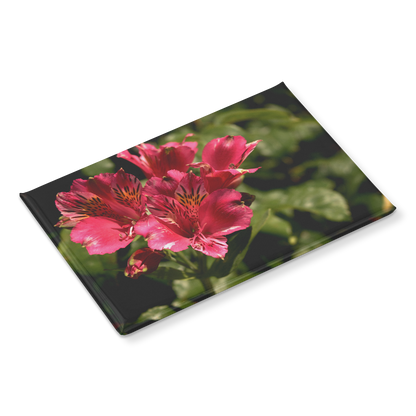 Vibrant_Pink_Peruvian_Lily_Close-Up_Rec_RectangleButtonMagnet_H_Angle_Mockup.png