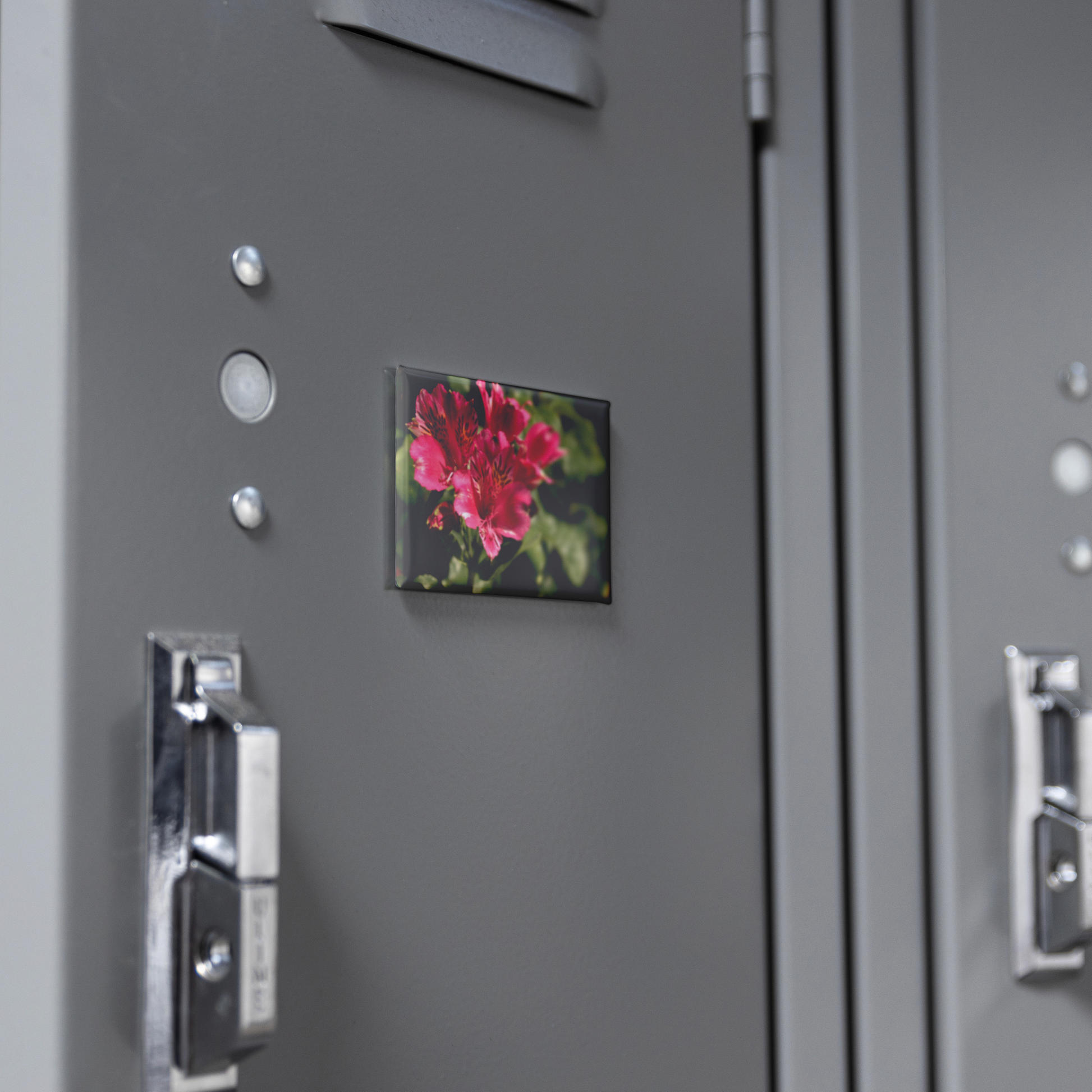 Vibrant_Pink_Peruvian_Lily_Close-Up_Rec_RectangleButtonMagnet_H_Locker_Mockup.png