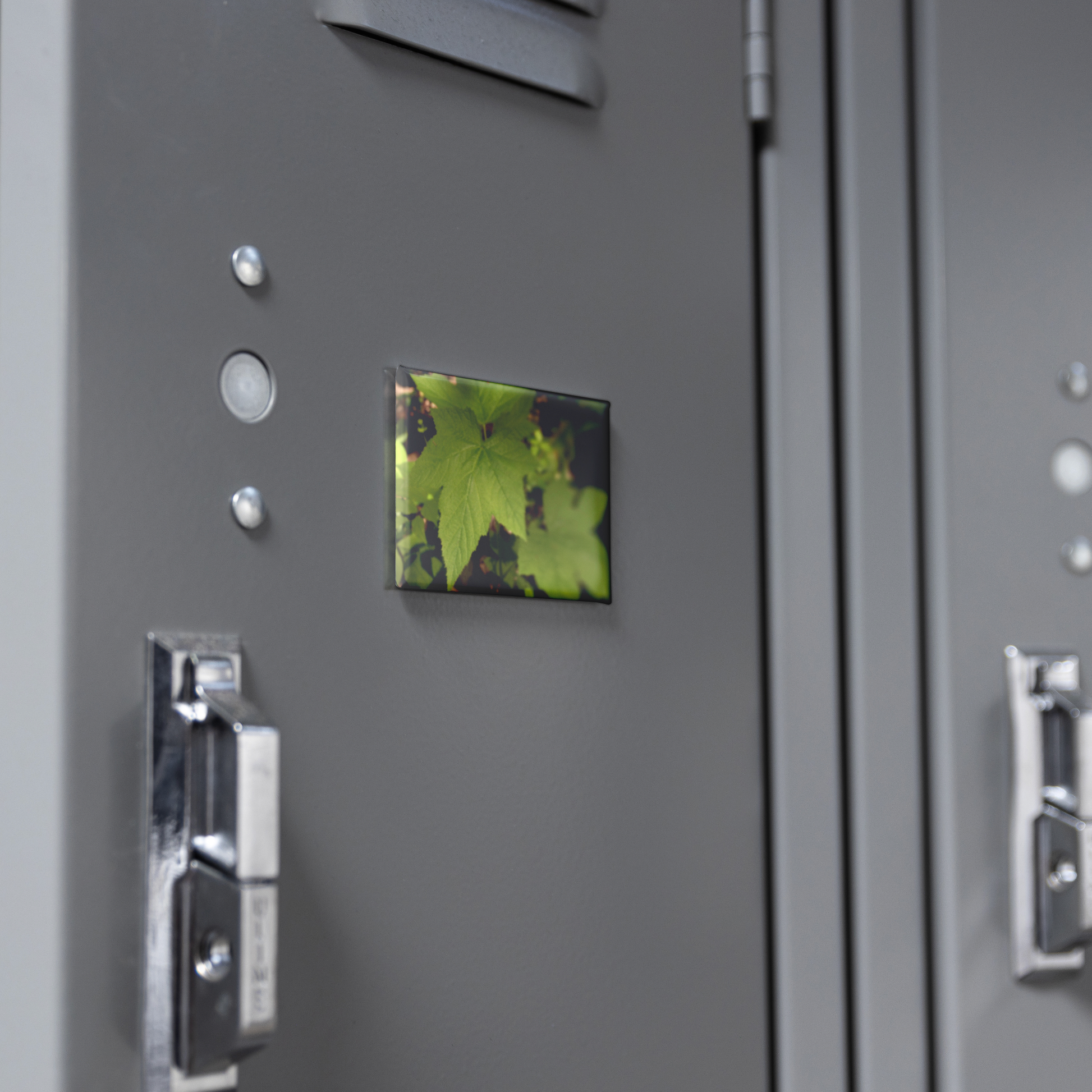Wild_Blackberry_Leaves_on_a_Forest_Floor_RectangleButtonMagnet_H_Locker_Mockup.png
