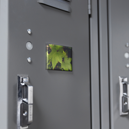 Wild_Blackberry_Leaves_on_a_Forest_Floor_RectangleButtonMagnet_H_Locker_Mockup.png