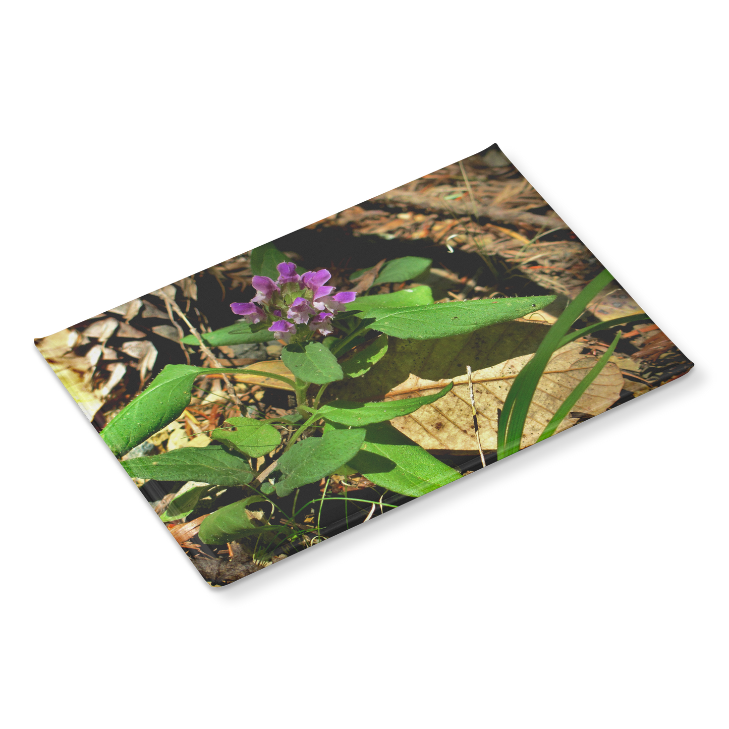 Wild_Heal-All_Flower_in_Woodland_Setting_RectangleButtonMagnet_H_Angle_Mockup.png