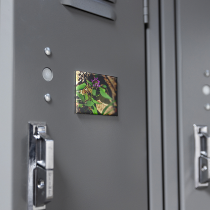 Wild_Heal-All_Flower_in_Woodland_Setting_RectangleButtonMagnet_H_Locker_Mockup.png
