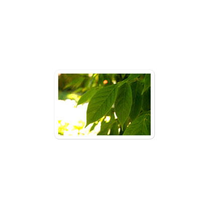 A small rectangular vinyl sticker with an image of backlit green leaves.