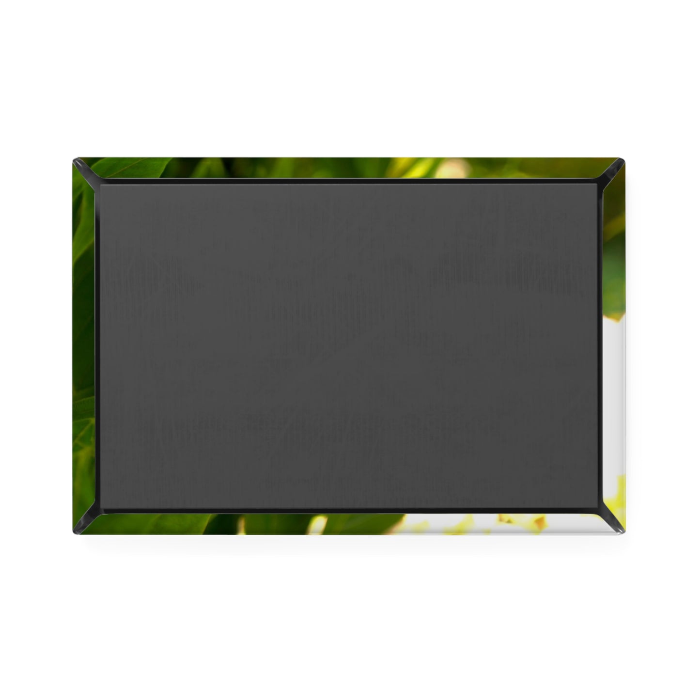 Back view of a rectangular button magnet.