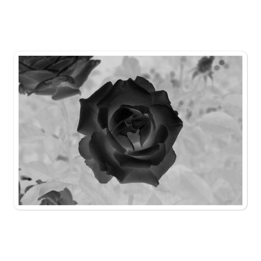 A large rectangular vinyl sticker with an image of a black x-ray rose design.