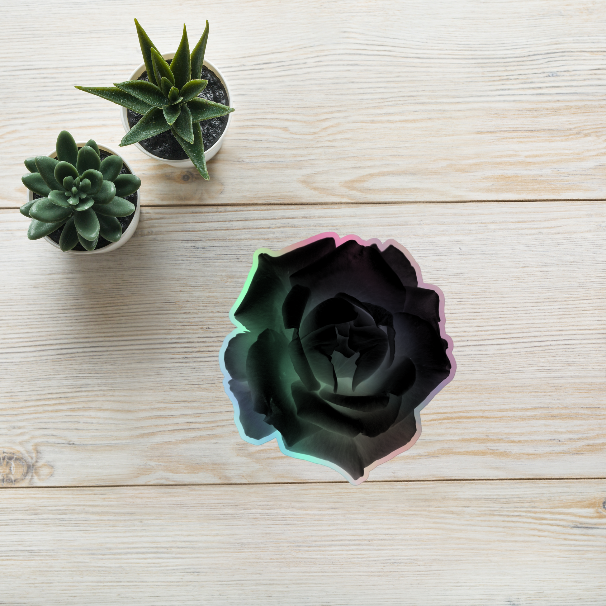 Lifestyle photo of a kiss-cut holographic sticker with an image of a black x-ray rose design, placed on a table with two small succulents.