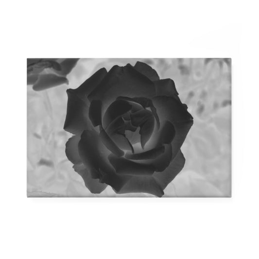 A rectangular button magnet with an image of a black x-ray rose design.