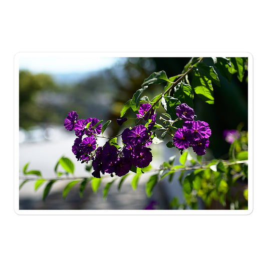 A large rectangular vinyl sticker with an image of purple flower blooms in a tree.