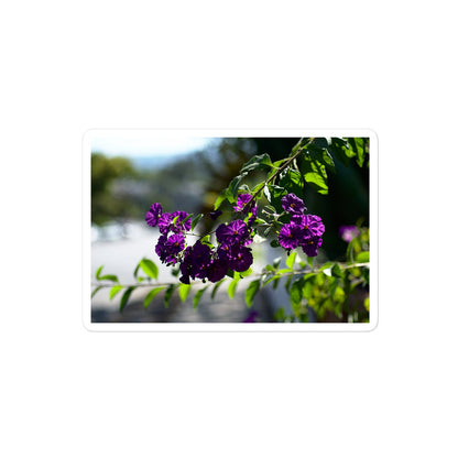 A medium rectangular vinyl sticker with an image of purple flower blooms in a tree.