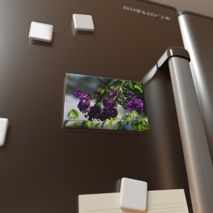 Lifestyle photo of a rectangular button magnet with an image of purple potato bush blooms, placed on a fridge.