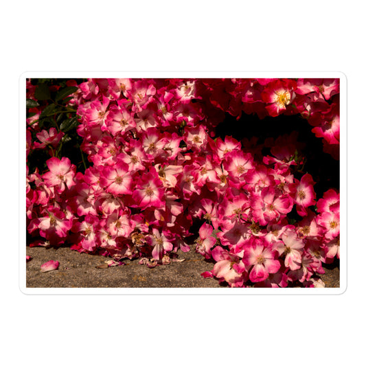A large rectangular vinyl sticker with an image of many small pink flowers with white centers.