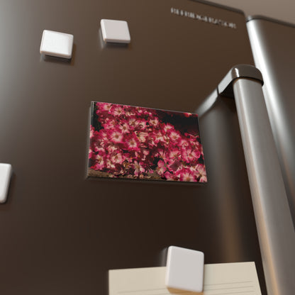 Lifestyle photo of a rectangular button magnet with an image of blush pink roses cascading to the ground, placed on a fridge.