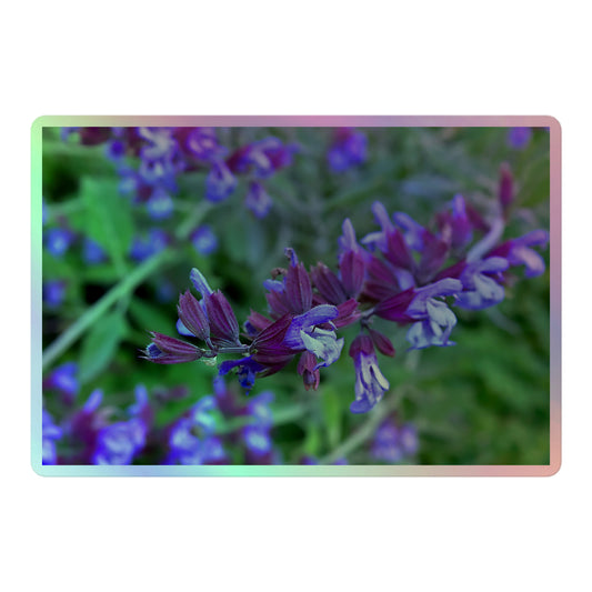 A large rectangular holographic sticker with a close-up image of bright green purple sage with green leaves.