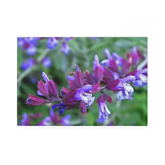 A rectangular button magnet with an image of bright purple garden sage flowers.