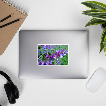 Lifestyle photo of a rectangular vinyl sticker with a close-up image of purple sage, placed on the outside of a laptop.