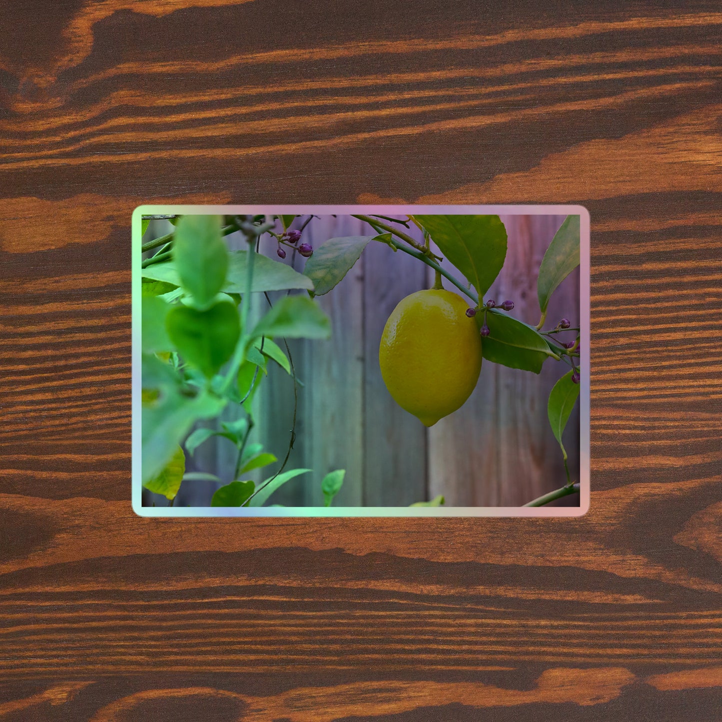 Lifestyle photo of a rectangular holographic sticker with an image of a bright yellow lemon with green leaves and a wooden fence in the background, placed on a brown wooden table surface.