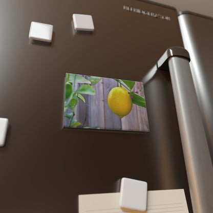 Lifestyle photo of a rectangular button magnet with an image of a bright yellow lemon hanging from a green leafy branch against a wooden fence background, placed on a fridge.