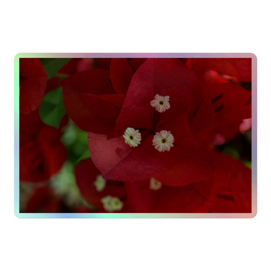 A large rectangular holographic sticker with a close-up image of a bright red bougainvillea bloom with white stamen.