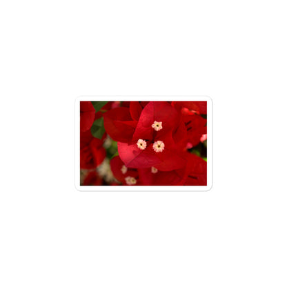 A small rectangular vinyl sticker with a close-up image of a red bougainvillea bloom.