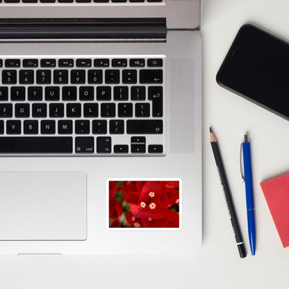 Lifestyle photo of a rectangular vinyl sticker with a close-up image of a red bougainvillea bloom, placed on a laptop to the right of the mouse pad.