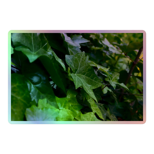 A large rectangular holographic sticker with an image of many dark green ivy leaves.