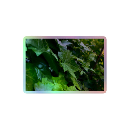 A medium rectangular holographic sticker with an image of many dark green ivy leaves.