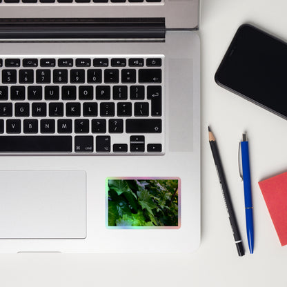 Lifestyle photo of a rectangular holographic sticker with an image of many dark green ivy leaves, placed on a laptop to the right of the mouse pad.