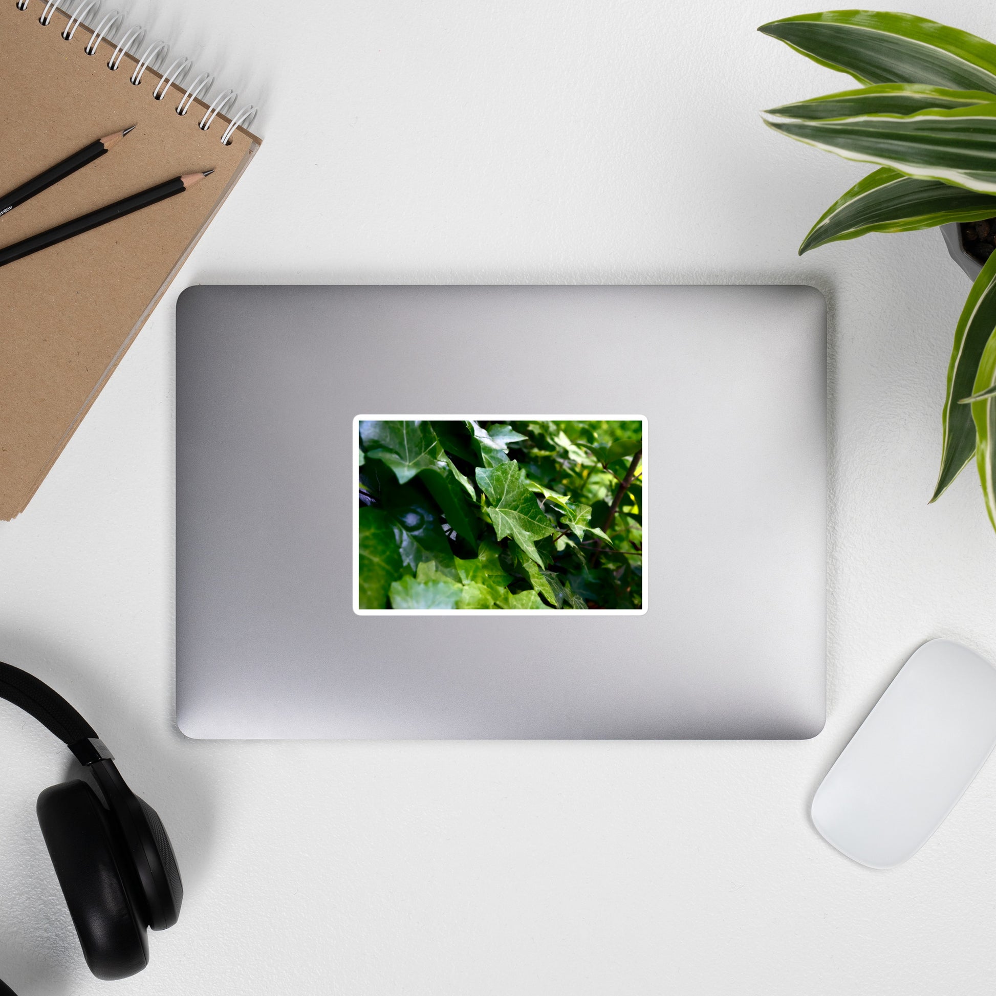 Lifestyle photo of a rectangular vinyl sticker with an image of dark green ivy leaves, placed on the outside of a laptop.