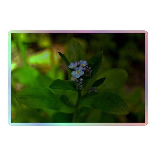 A large rectangular holographic sticker with a close-up image of a pale blue Forget-Me-Not flower in a forest background.