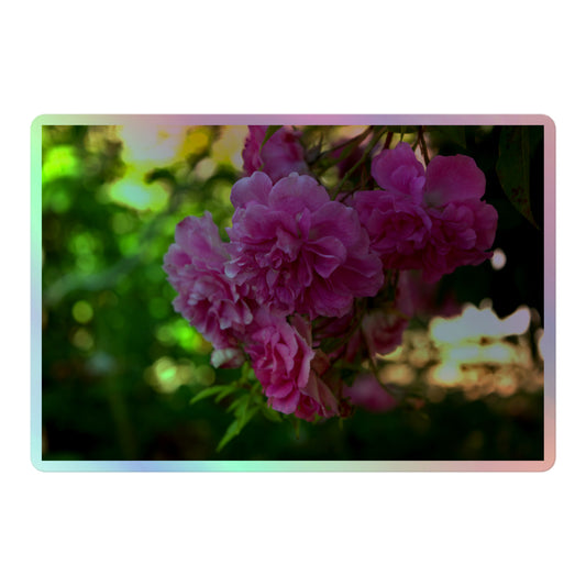 A large rectangular holographic sticker with an image of pink rose blooms in a garden.