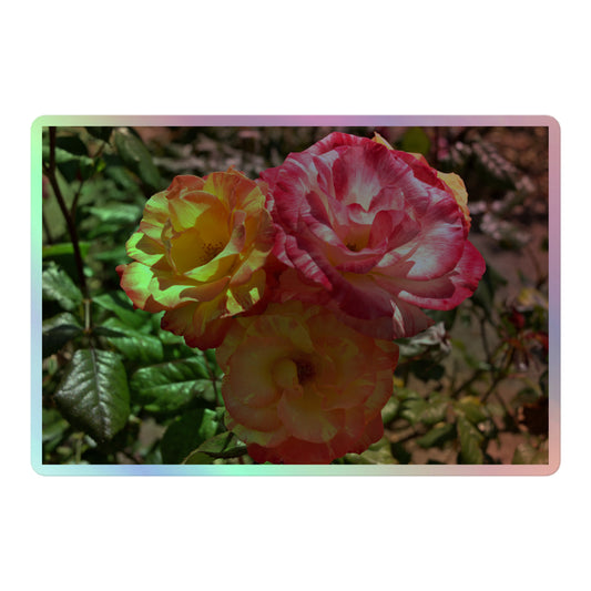 A large rectangular holographic sticker with a close-up image of three pink and yellow multicolored roses.