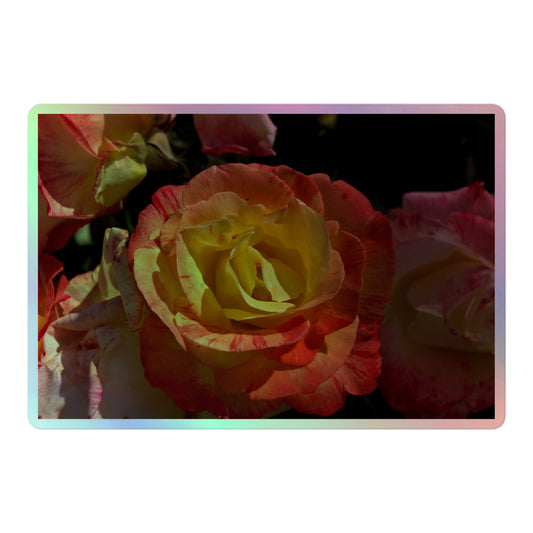 A large rectangular holographic sticker with a close-up image of pink, yellow and white roses.